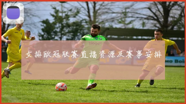 女排欧冠联赛直播资源及赛事安排