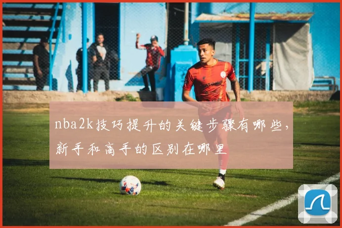 nba2k技巧提升的关键步骤有哪些，新手和高手的区别在哪里