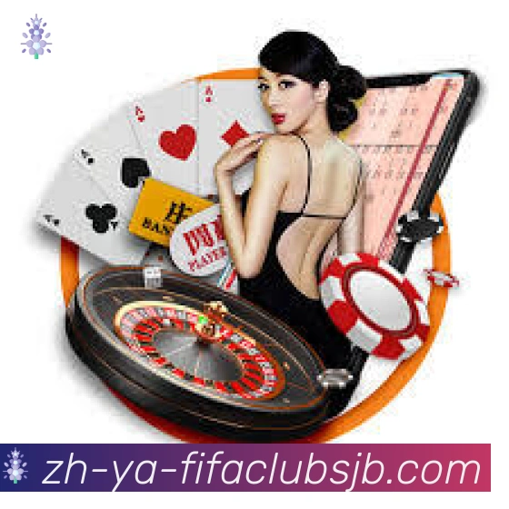 未来规划